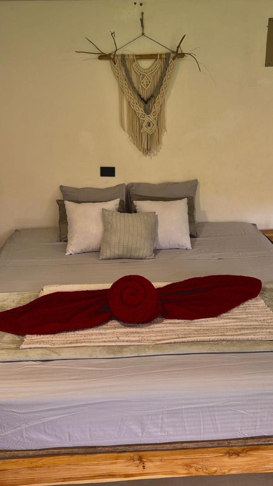 Appartement Deer House Cabuya à Cabuya  Extérieur photo