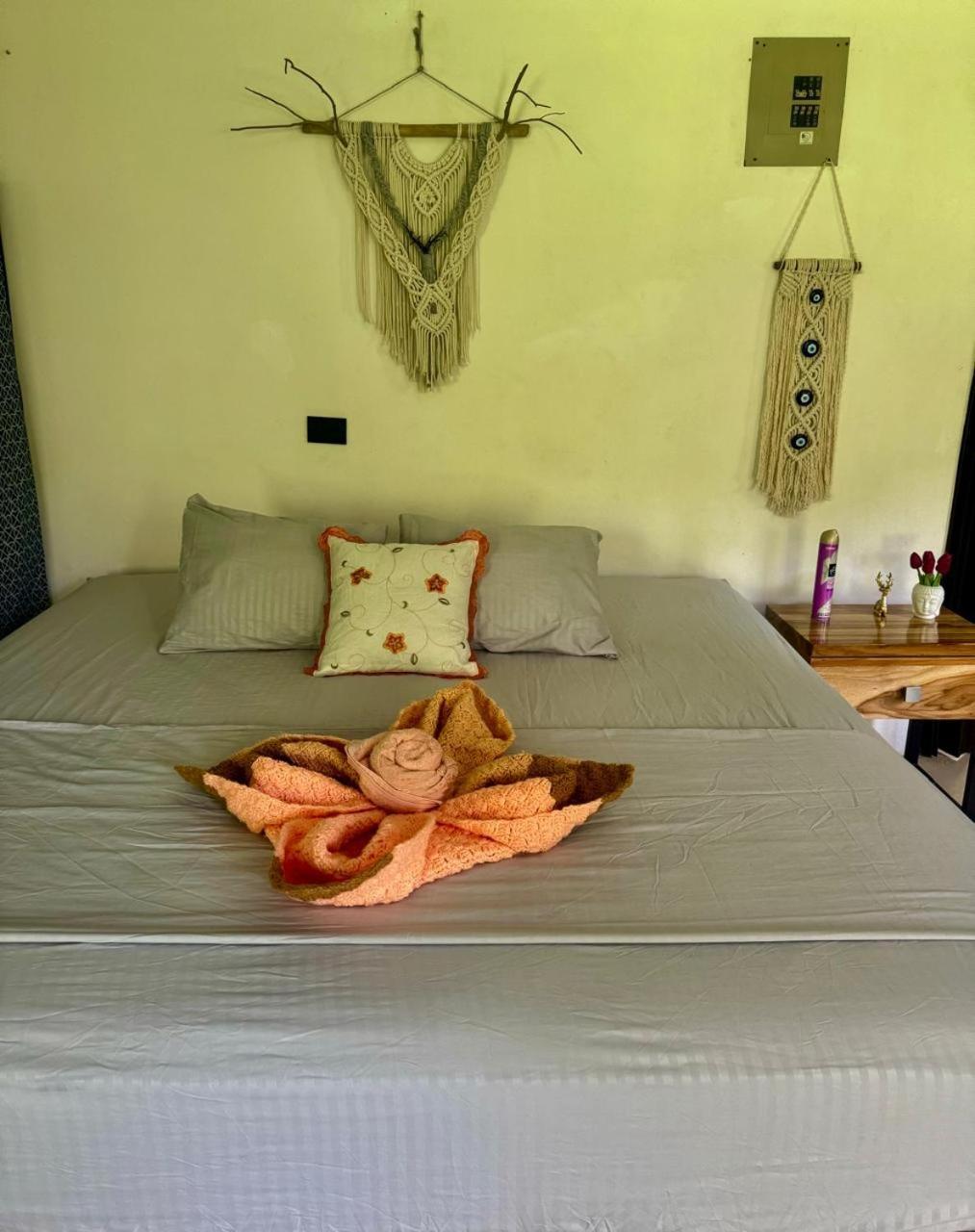 Appartement Deer House Cabuya à Cabuya  Extérieur photo